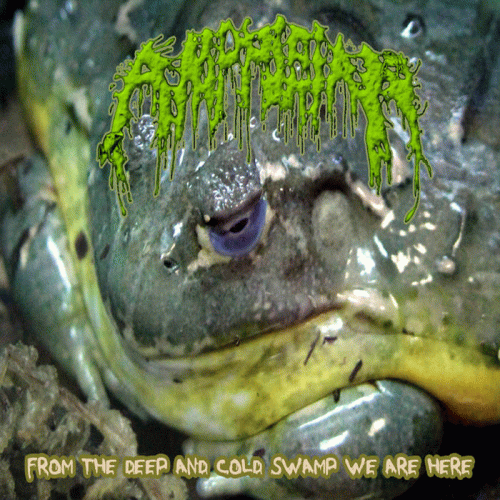 Amphibian : From the Deep and Cold Swamp We Are Here